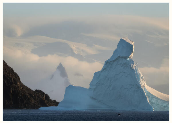 Crowned by Ice