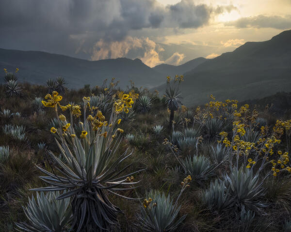 Con Vistas al Oeste
