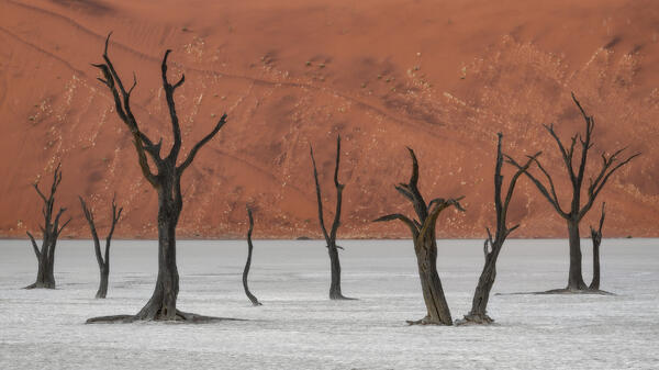 Standing Skeletons