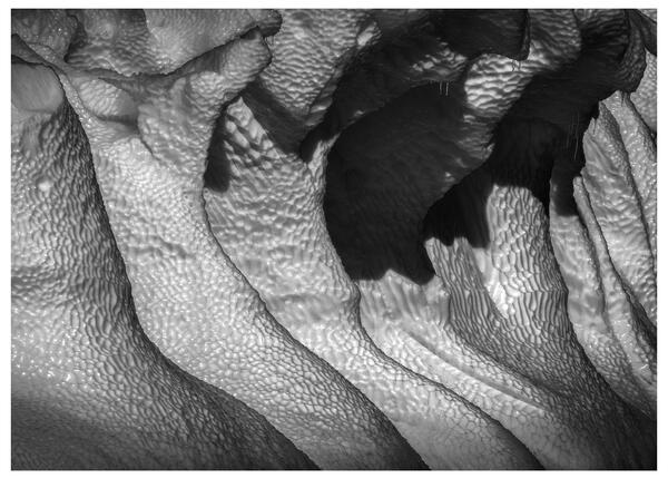 Frozen Snake Skin