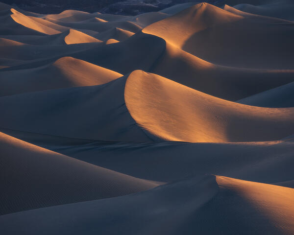 Dunes in Motion 
