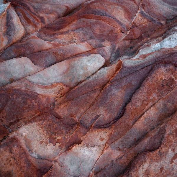 Patterns in Motion