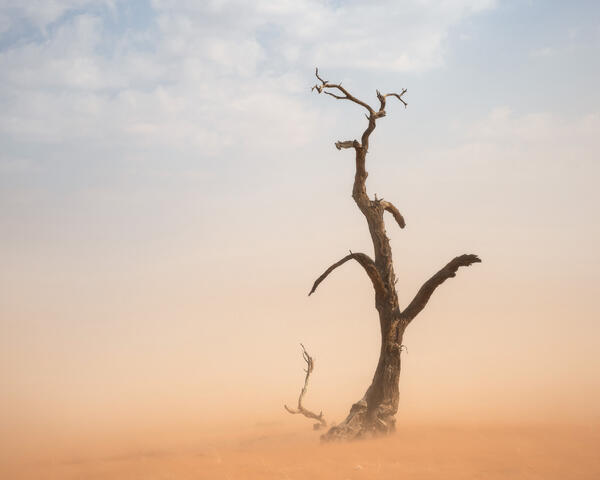 Shape of Solitude
