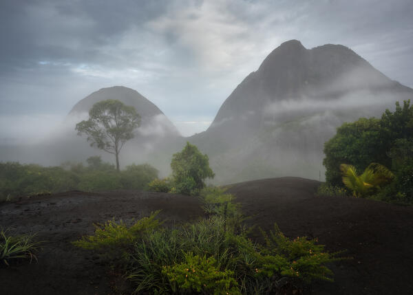 Ethereal Beginnings
