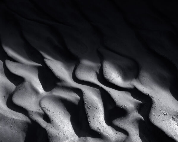 Emerging From the Shadows 