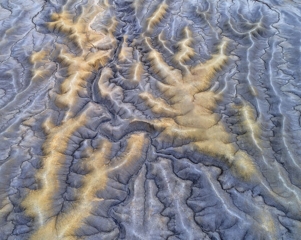 Alien Fingers