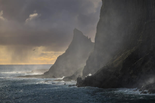 Atlantic Veil