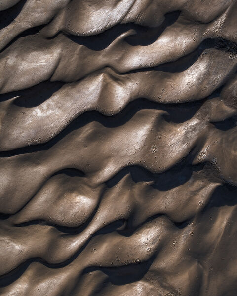 Chocolate Waves