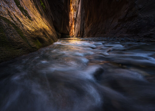 Creeping Light 