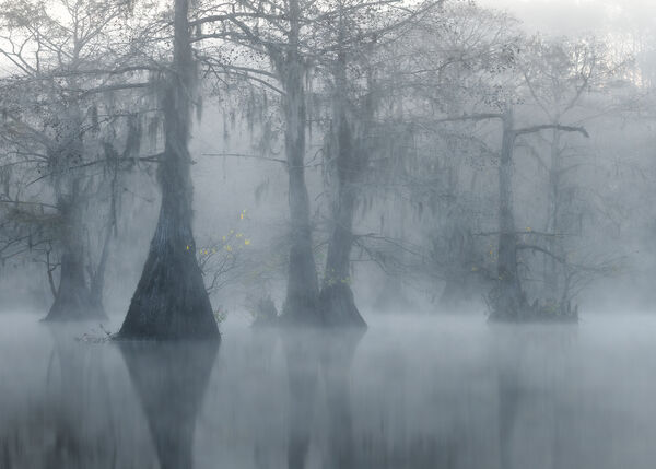 Monochromatic Ghosts 