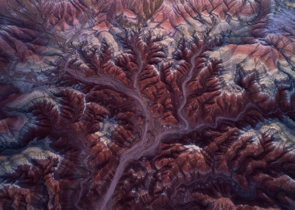 Roots