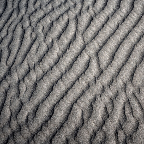 Sand Vibrations 