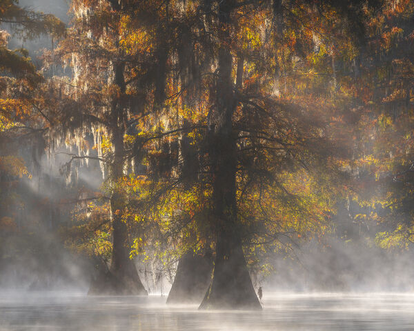 Silent Light