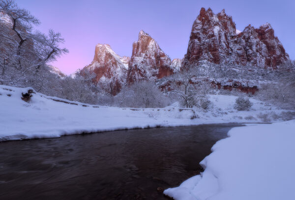 Winter's Paradise