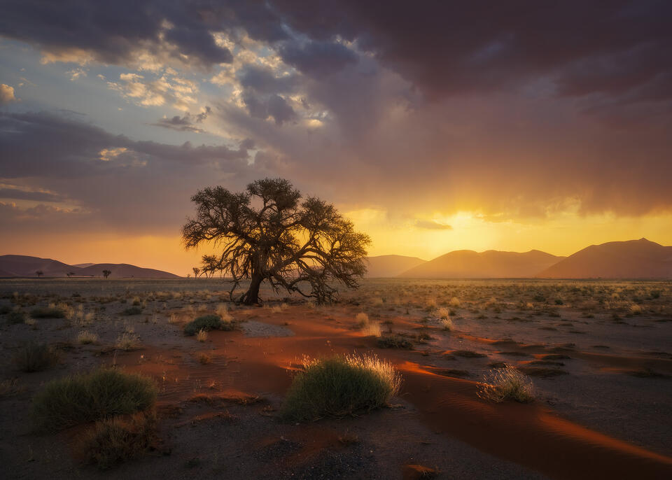 Africa - The Namibian Landscape