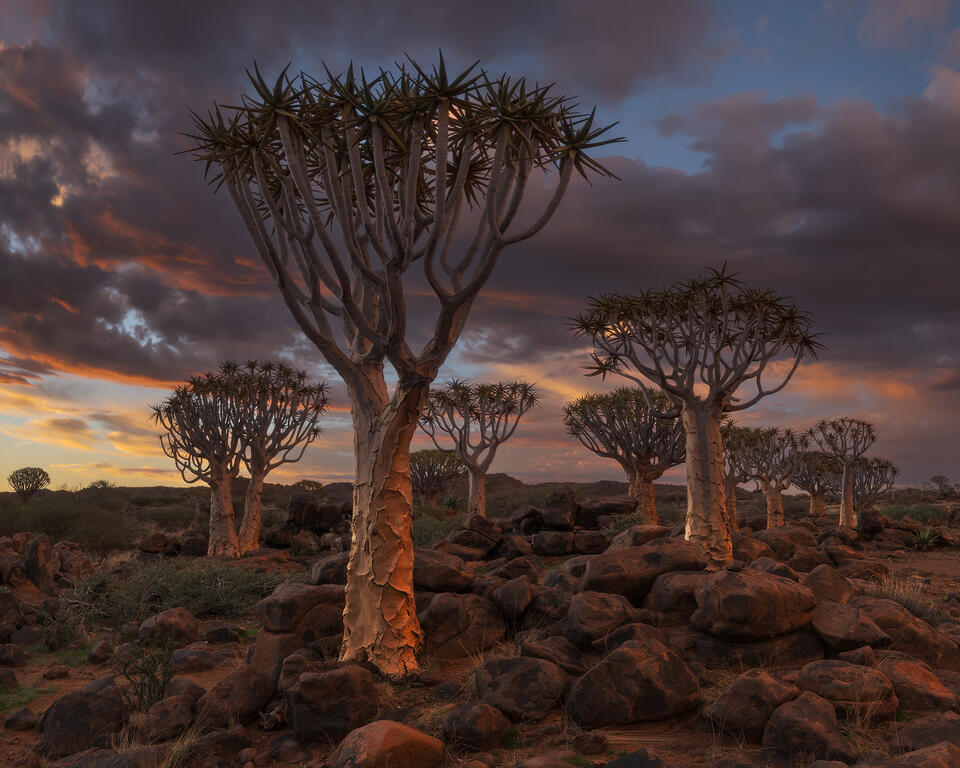 FUTURE RELEASE - Namibia - Part 2 