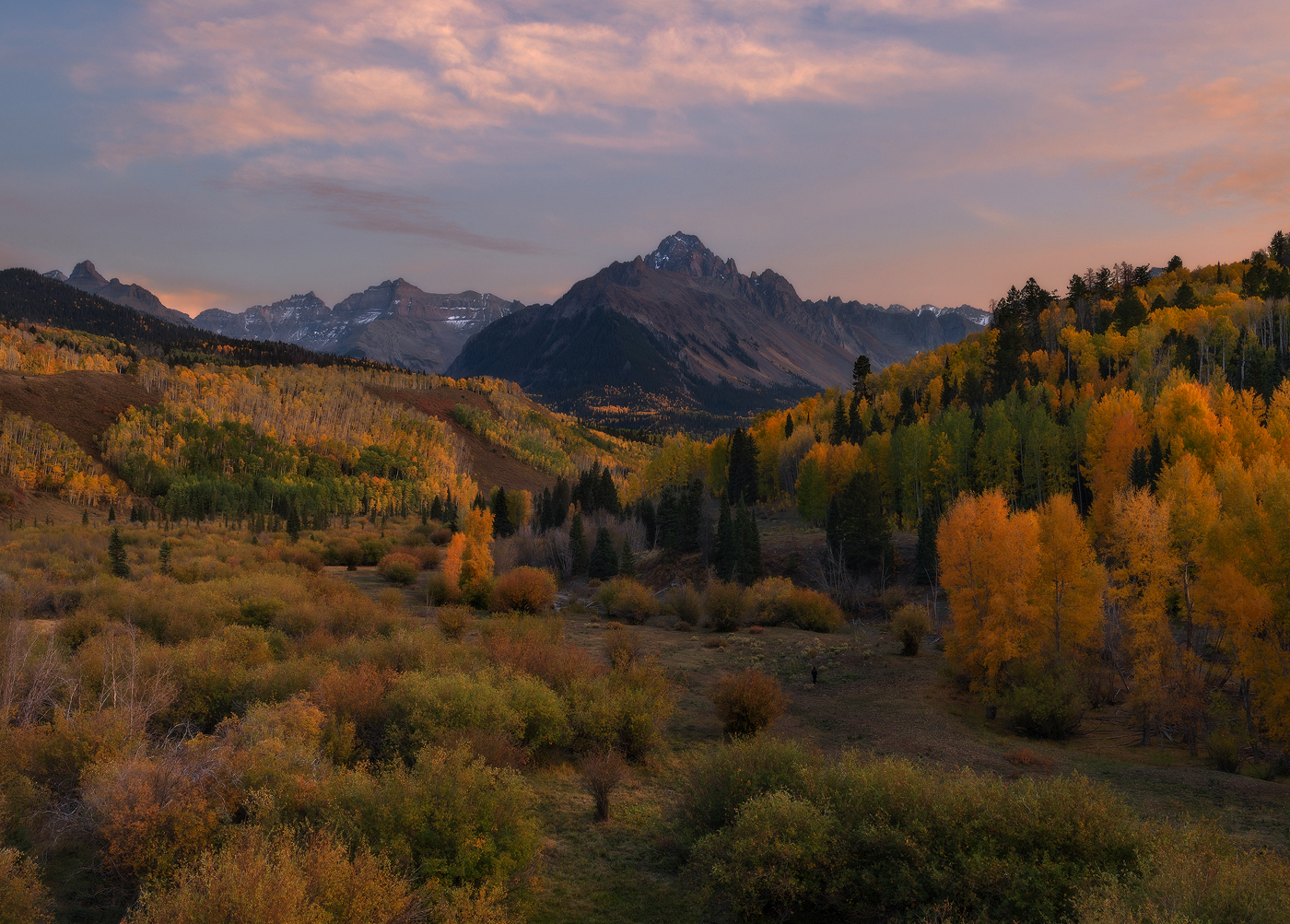 Colorado, fall colors, aspen, aspen trees, autumn