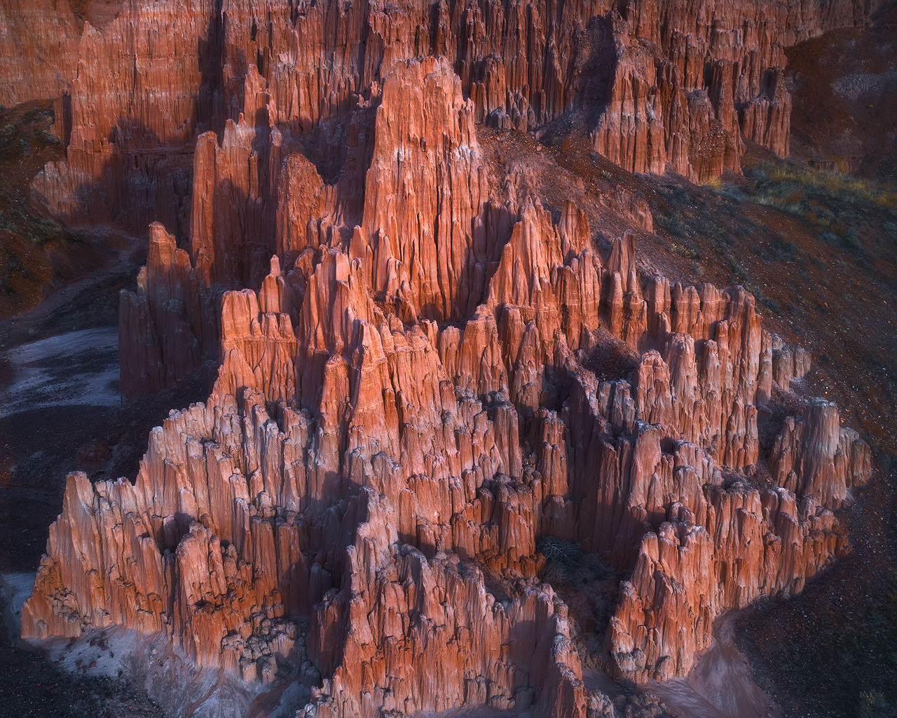 Luminous Cathedral 