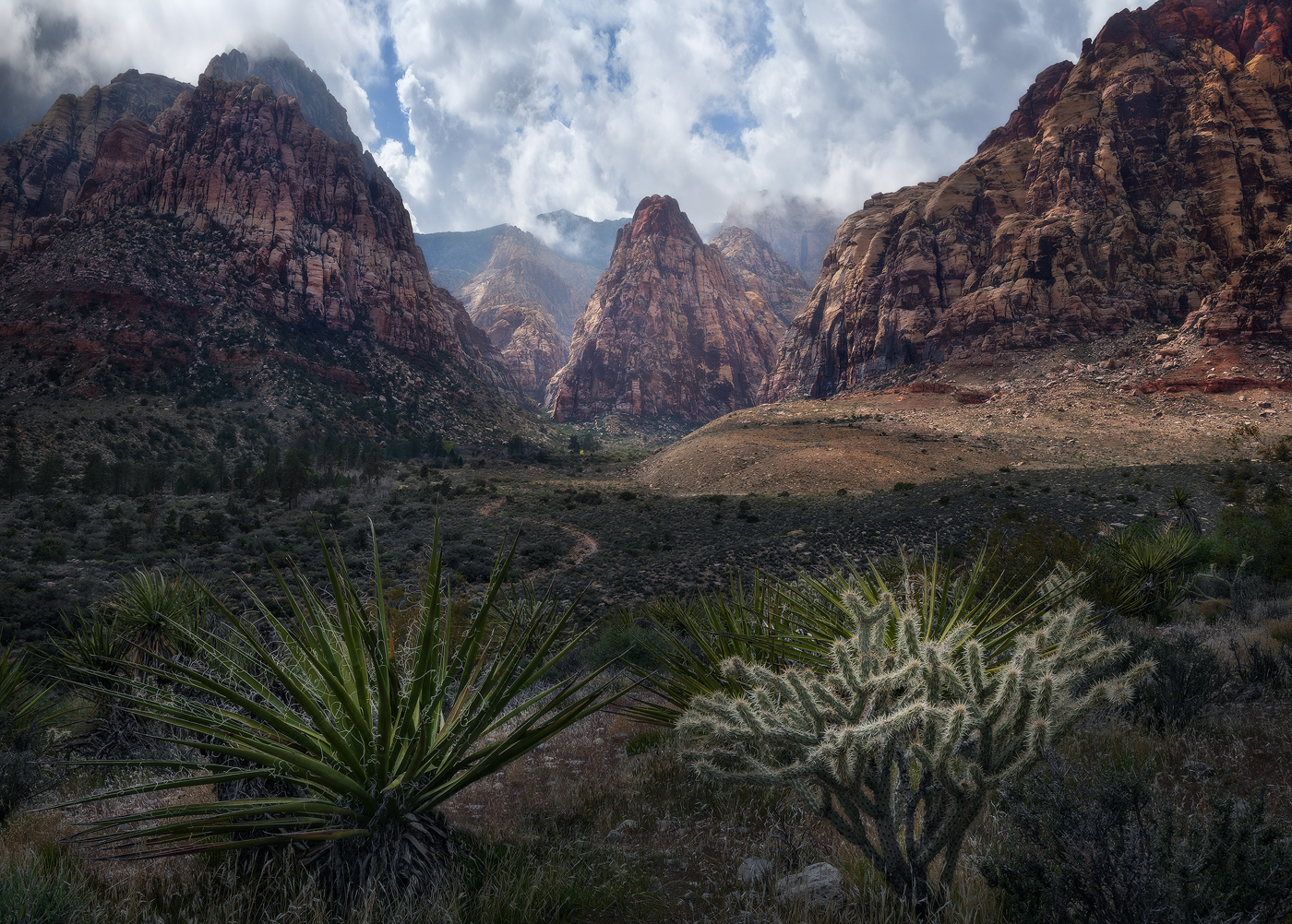 Kissing Cousins Red Rock Canyon, desert, landscape, Nevada, mountains