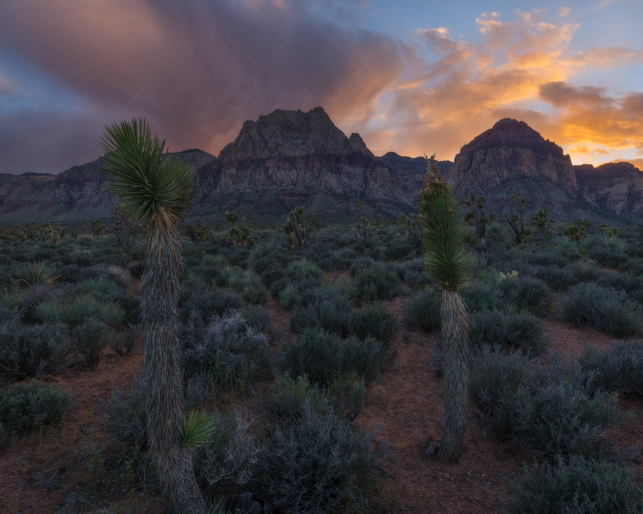 Red Rock Canyon, desert, landscape, Nevada, mountains