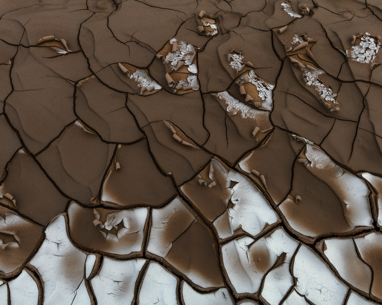 Dark and White Chocolate 