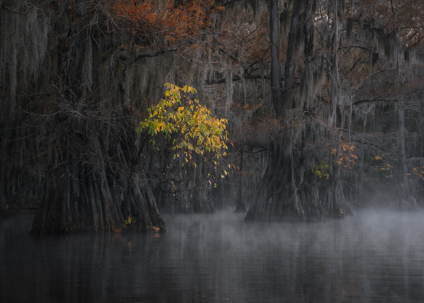 Between Seasons 