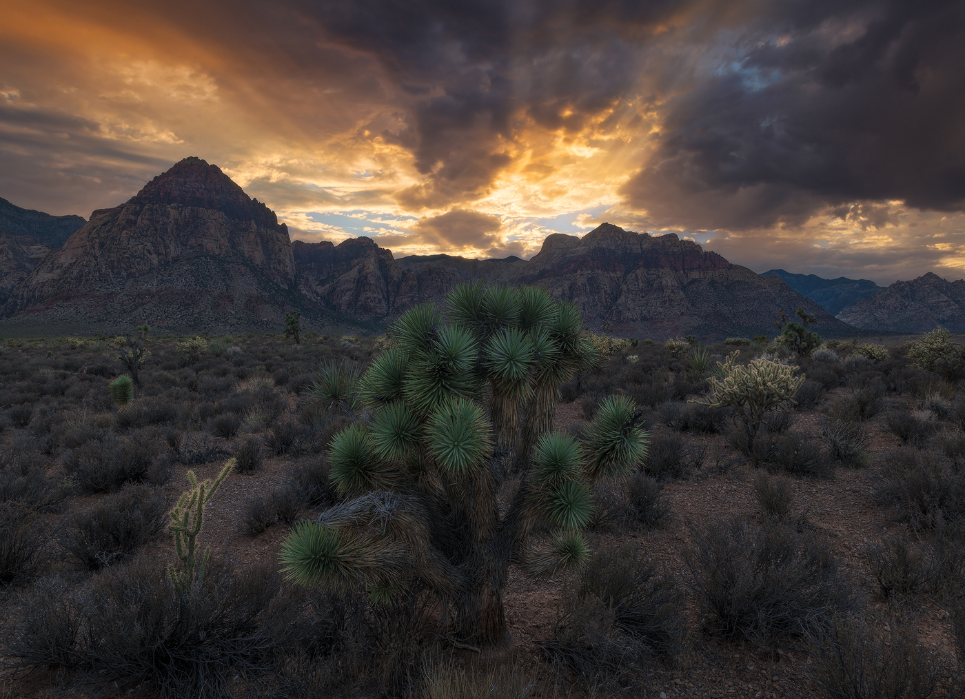 Red Rock Canyon, desert, landscape, Nevada, mountains