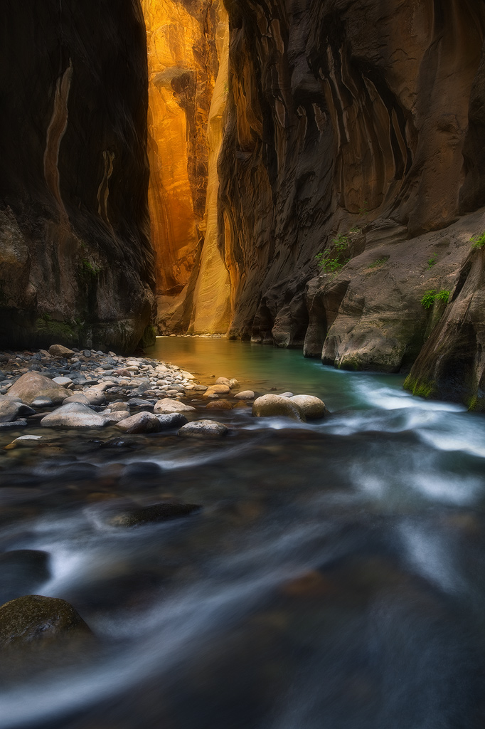 river,  glow, The Narrows, narrows, Zion, Zion National Park, Utah, canyon, summer