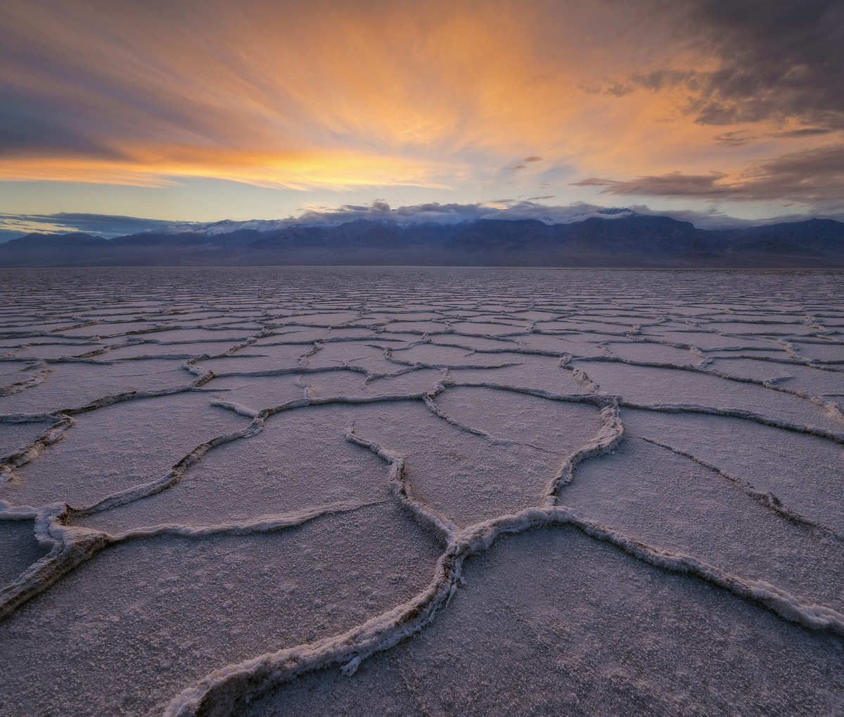 Salt Veins 