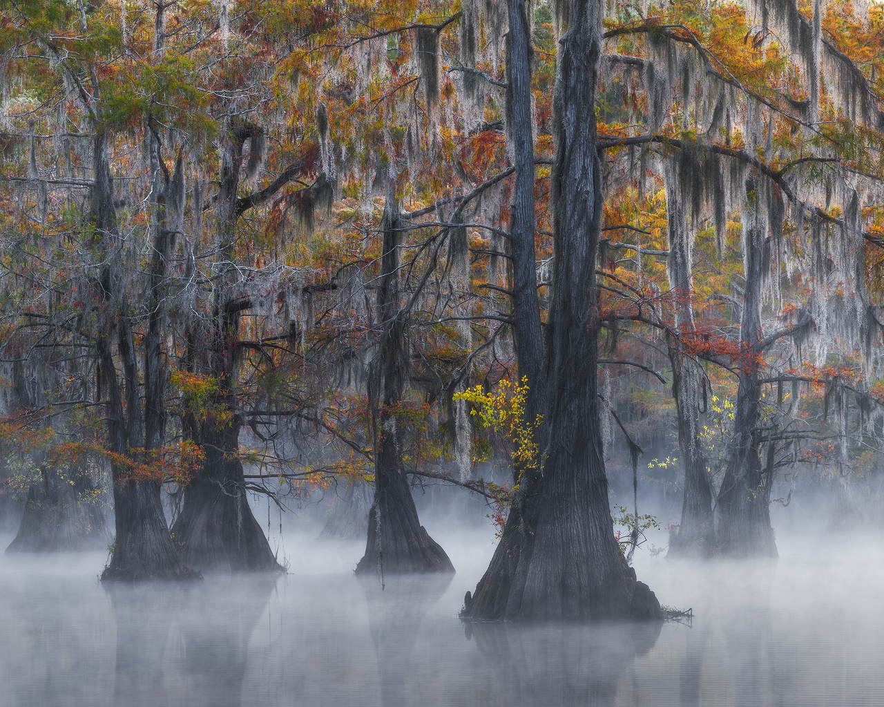 Cajun Soliders 