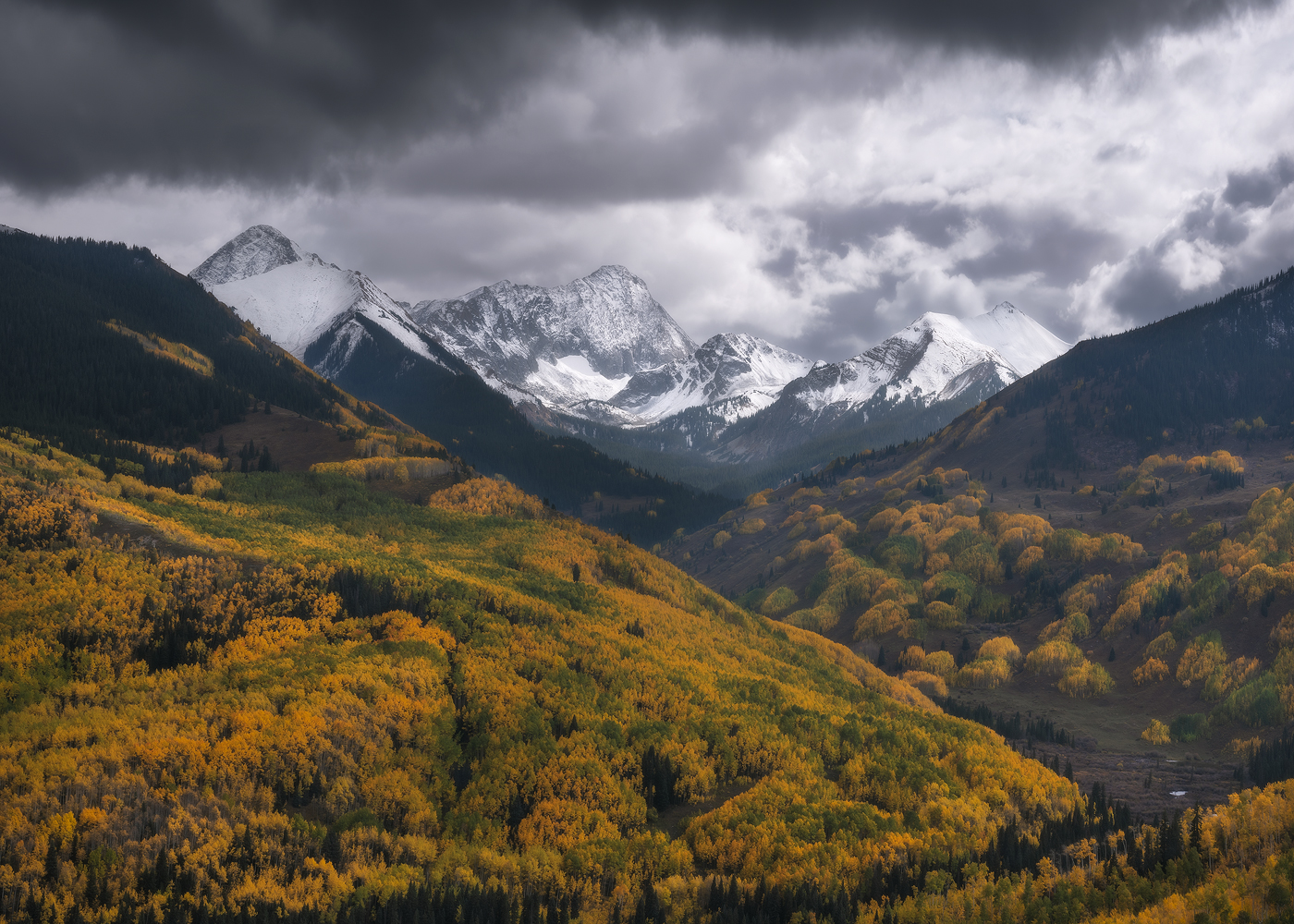 Colorado, fall colors, aspen, aspen trees, autumn