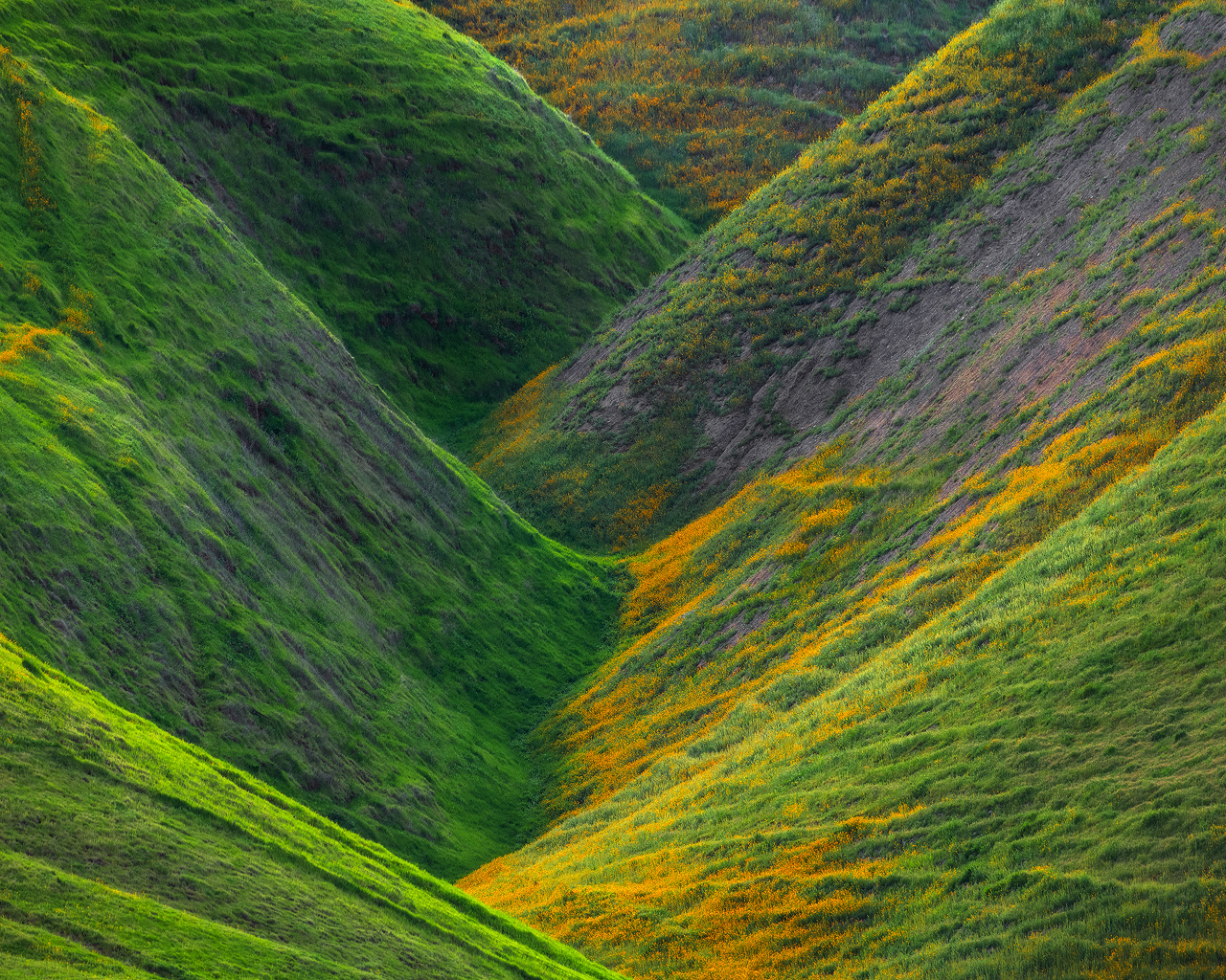 Color Canyon