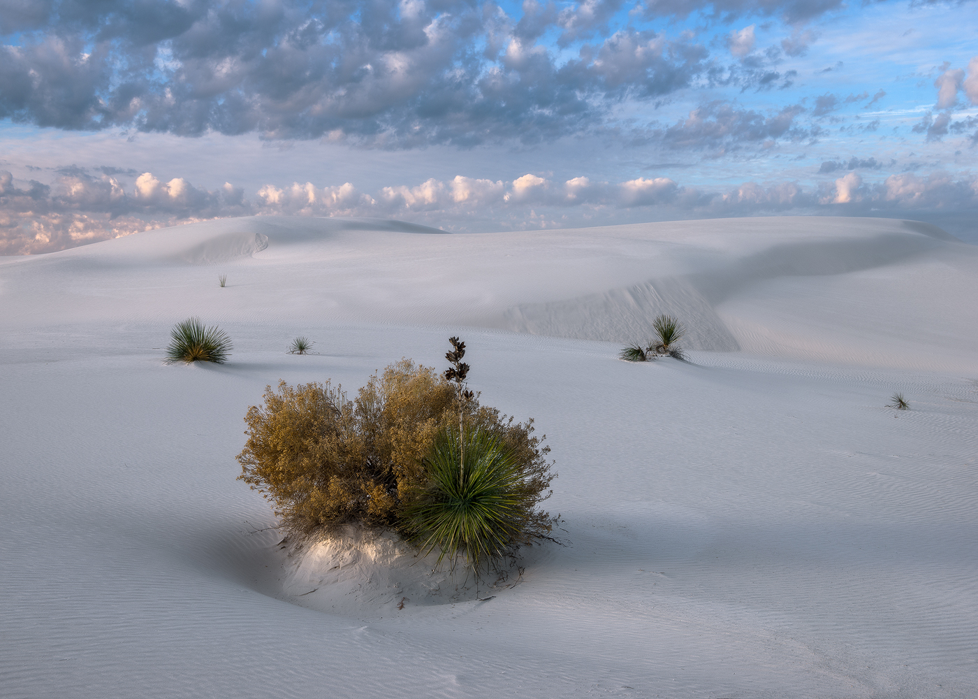 deserts, southwest, landscape