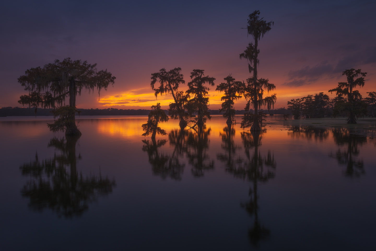Bayou's Last Light 