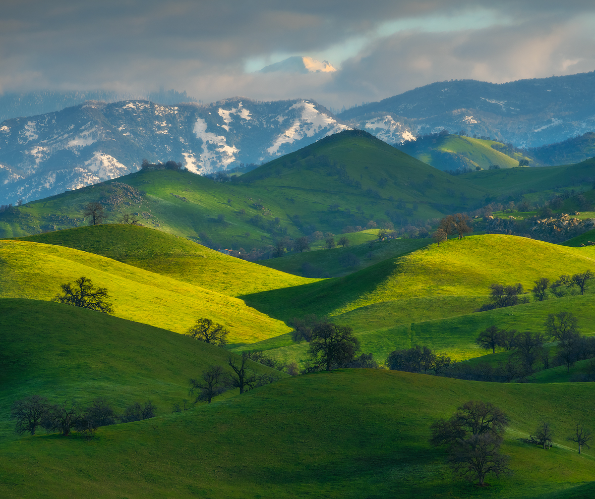 green, landscape, spring
