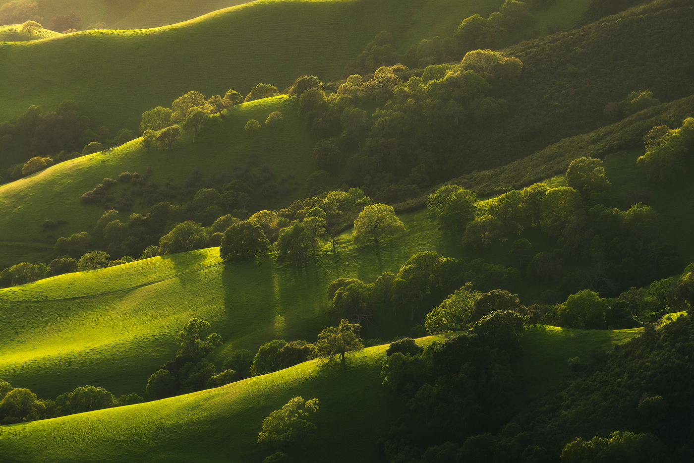 green, landscape, spring, Central California