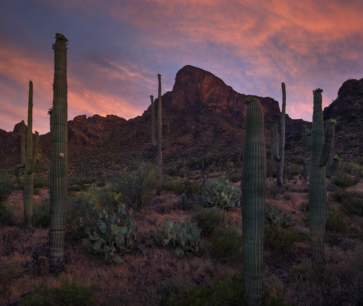 deserts, southwest, landscape