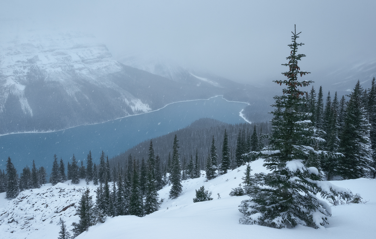 Snow Flurries